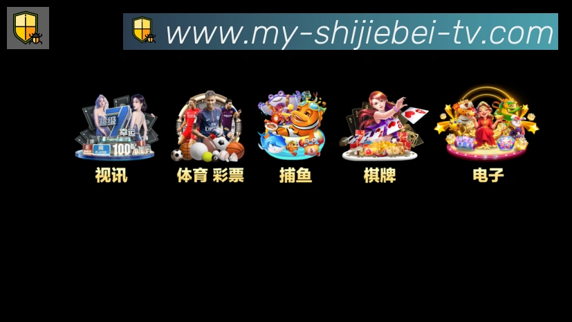 未来规划